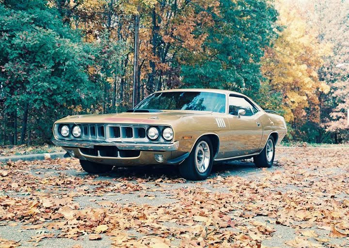 Godwin Cuda BS23H1B222437 (2).jpg