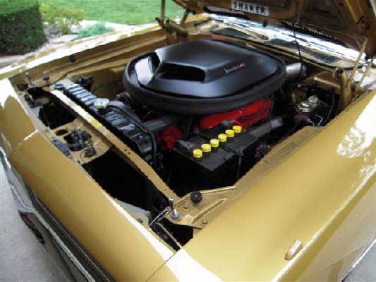 Godwin Cuda BS23H1B222437 (7).jpg