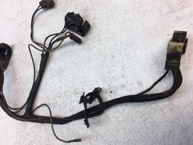 Harness 2.jpg