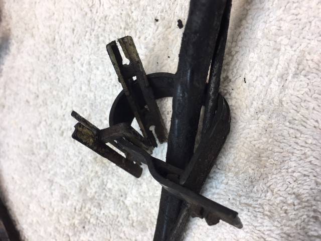 Harness.jpg