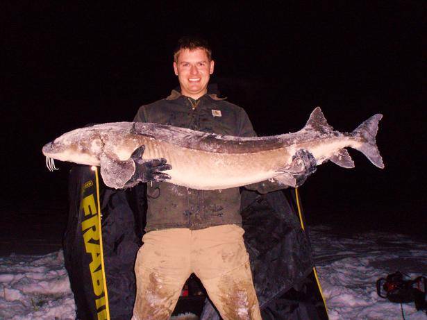 huge_sturgeon.jpg
