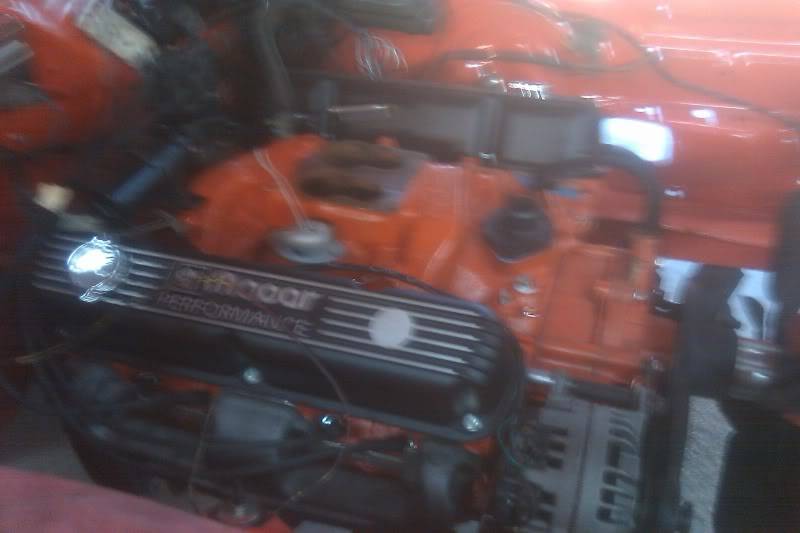 IMAG0202.jpg