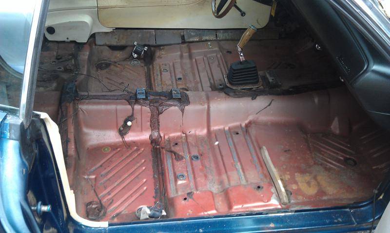 IMAG0516.jpg