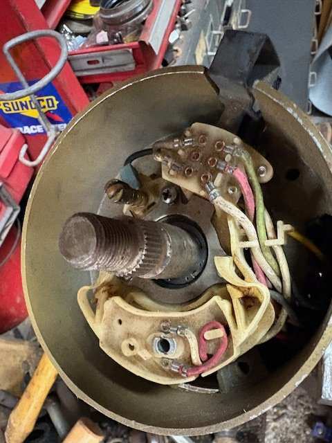image1.jpeg