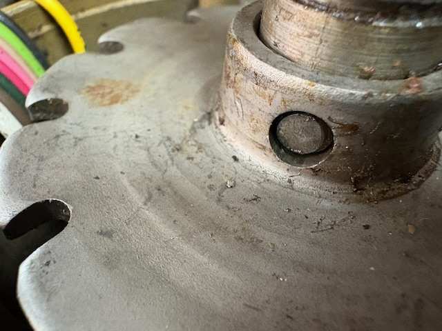 image10.jpeg