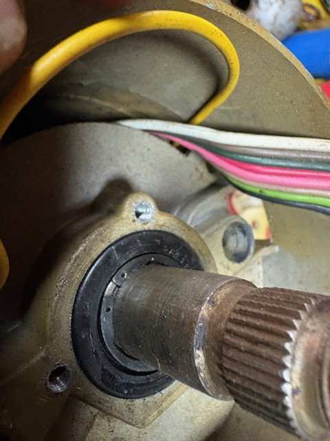 image2.jpeg