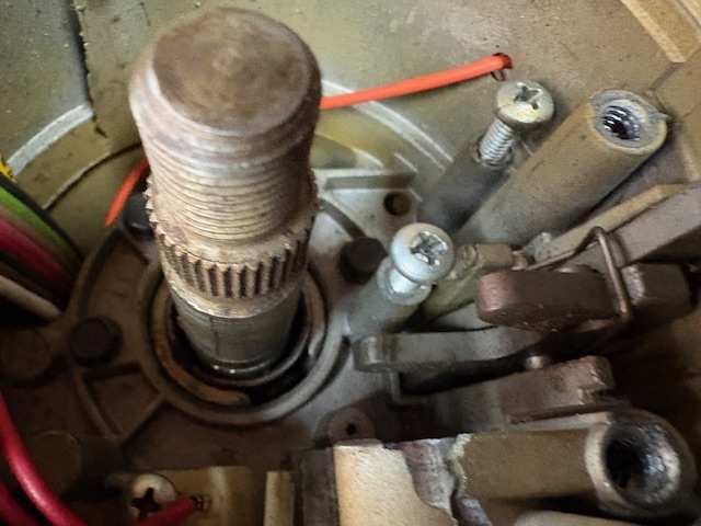 image5 (1).jpeg