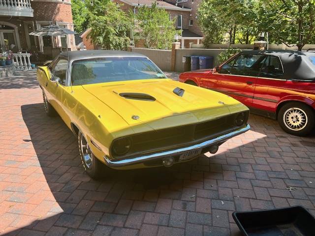 image5.jpeg