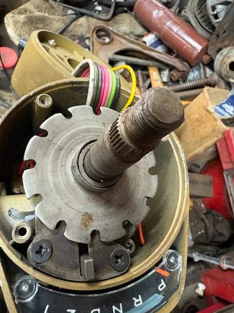 image5.jpeg