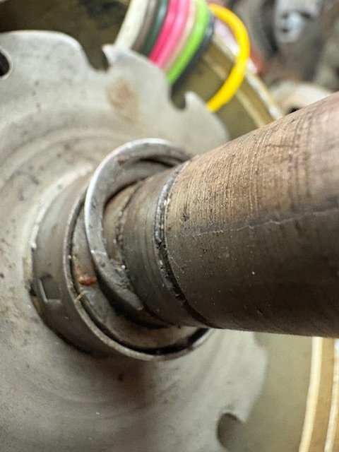 image6.jpeg
