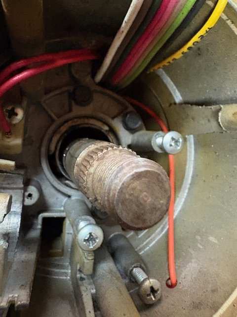 image7 (4).jpeg