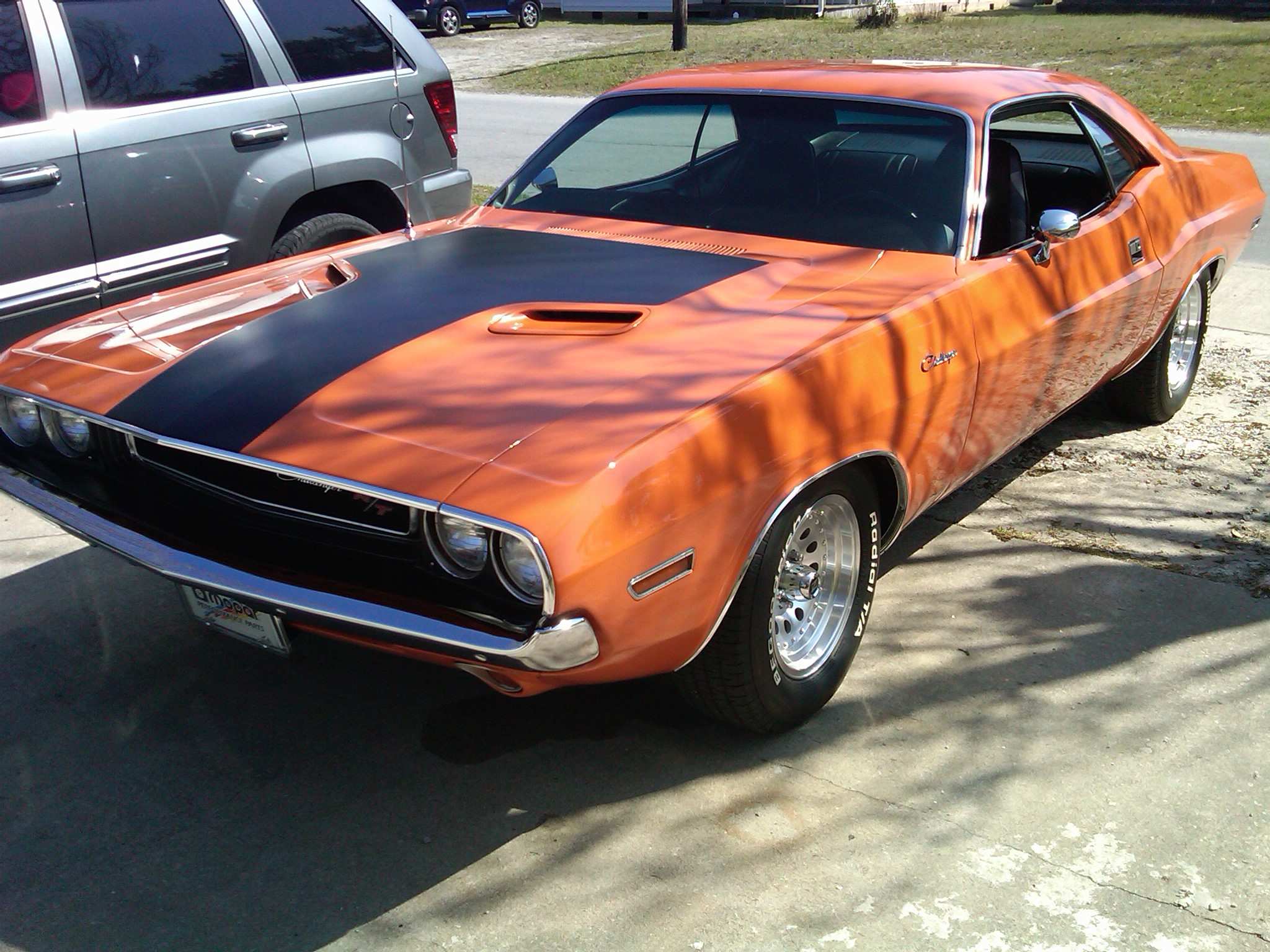 IMG-20110319-00033.jpg