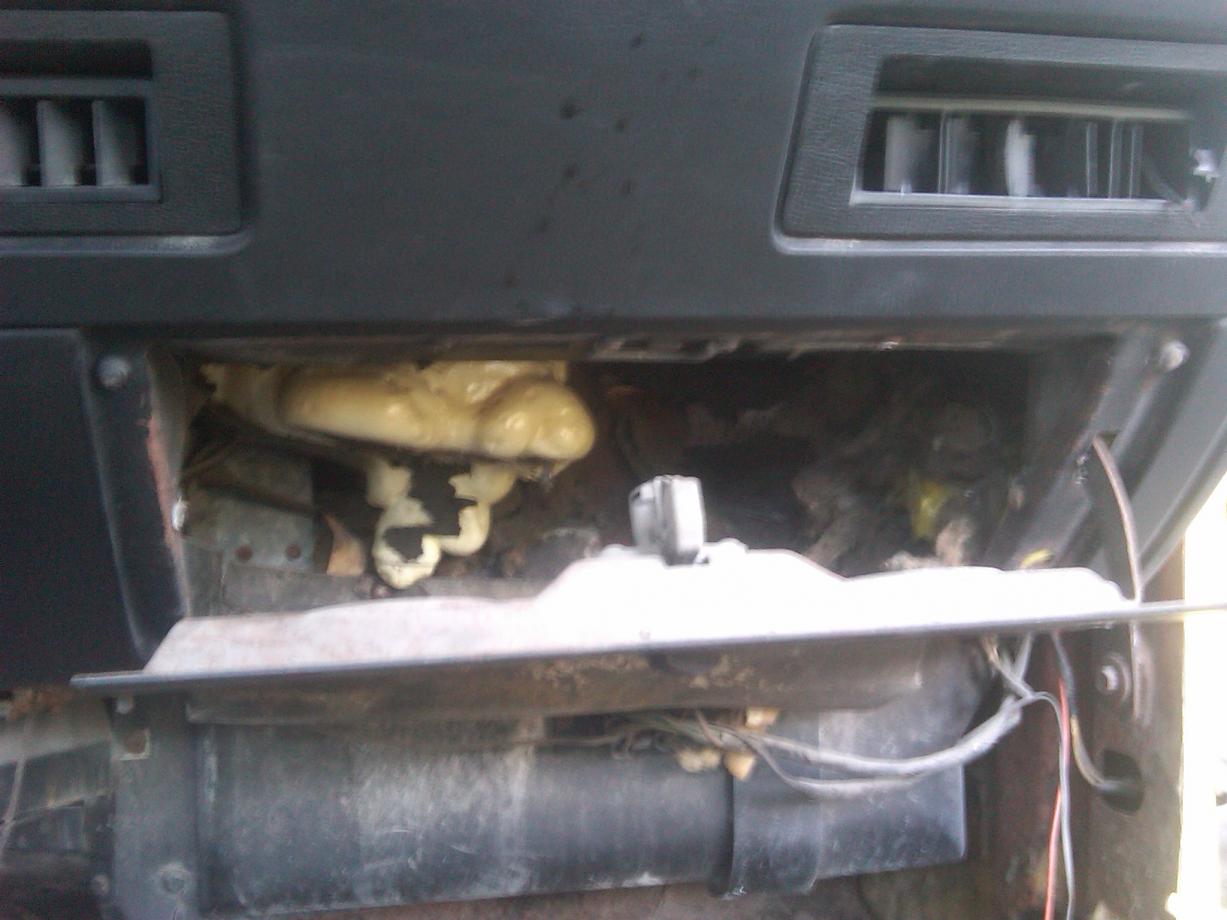 IMG00622-20100510-1543.jpg