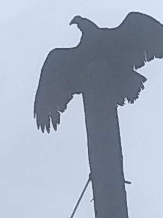 IMG_20191031_112340098.jpg