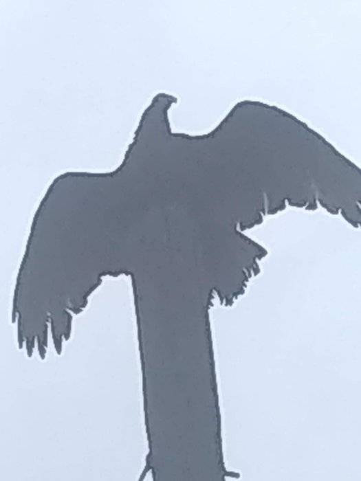 IMG_20191031_112343074.jpg