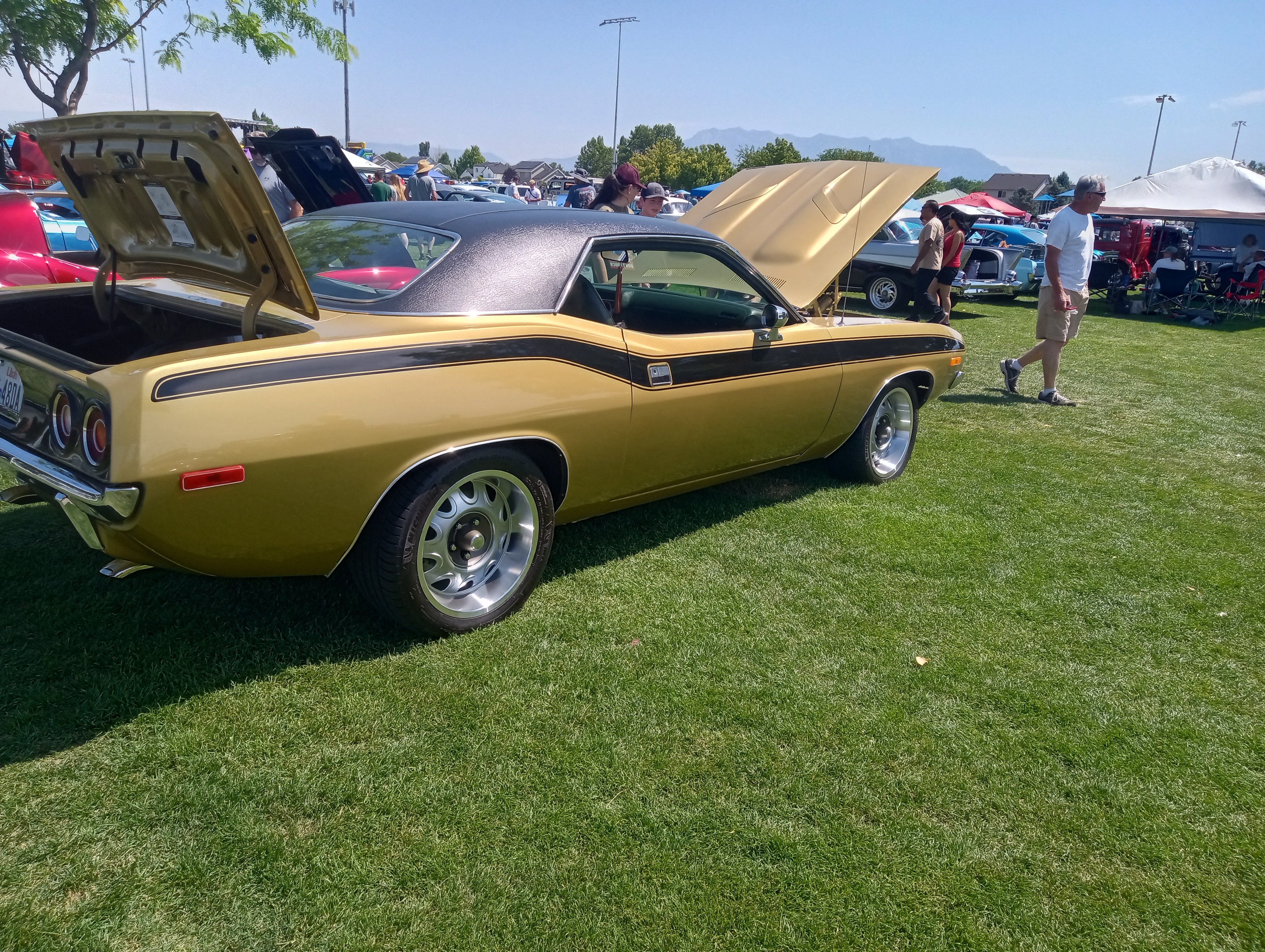 IMG_20260620_113328001_HDR.jpg