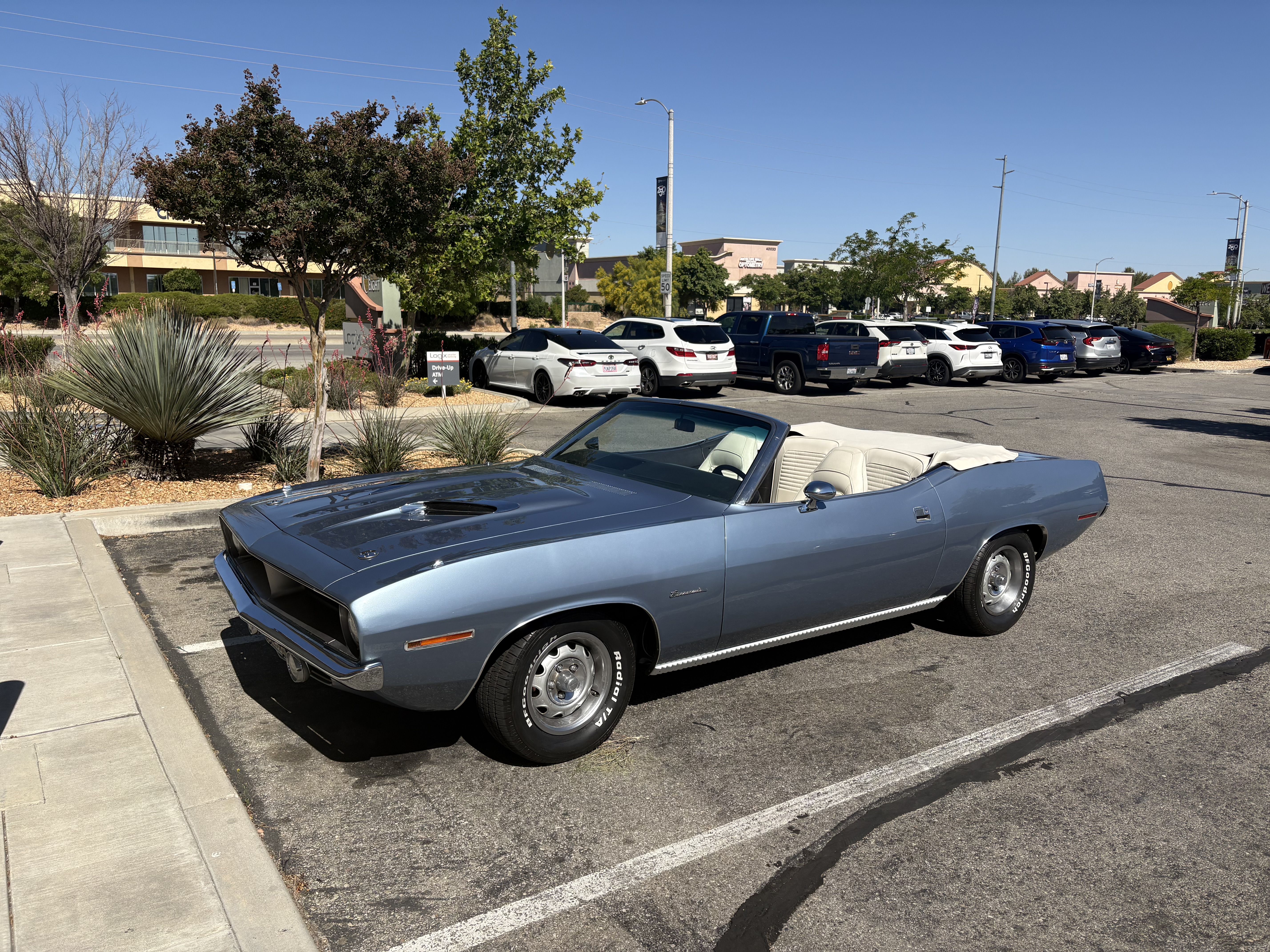 IMG_2256.jpeg