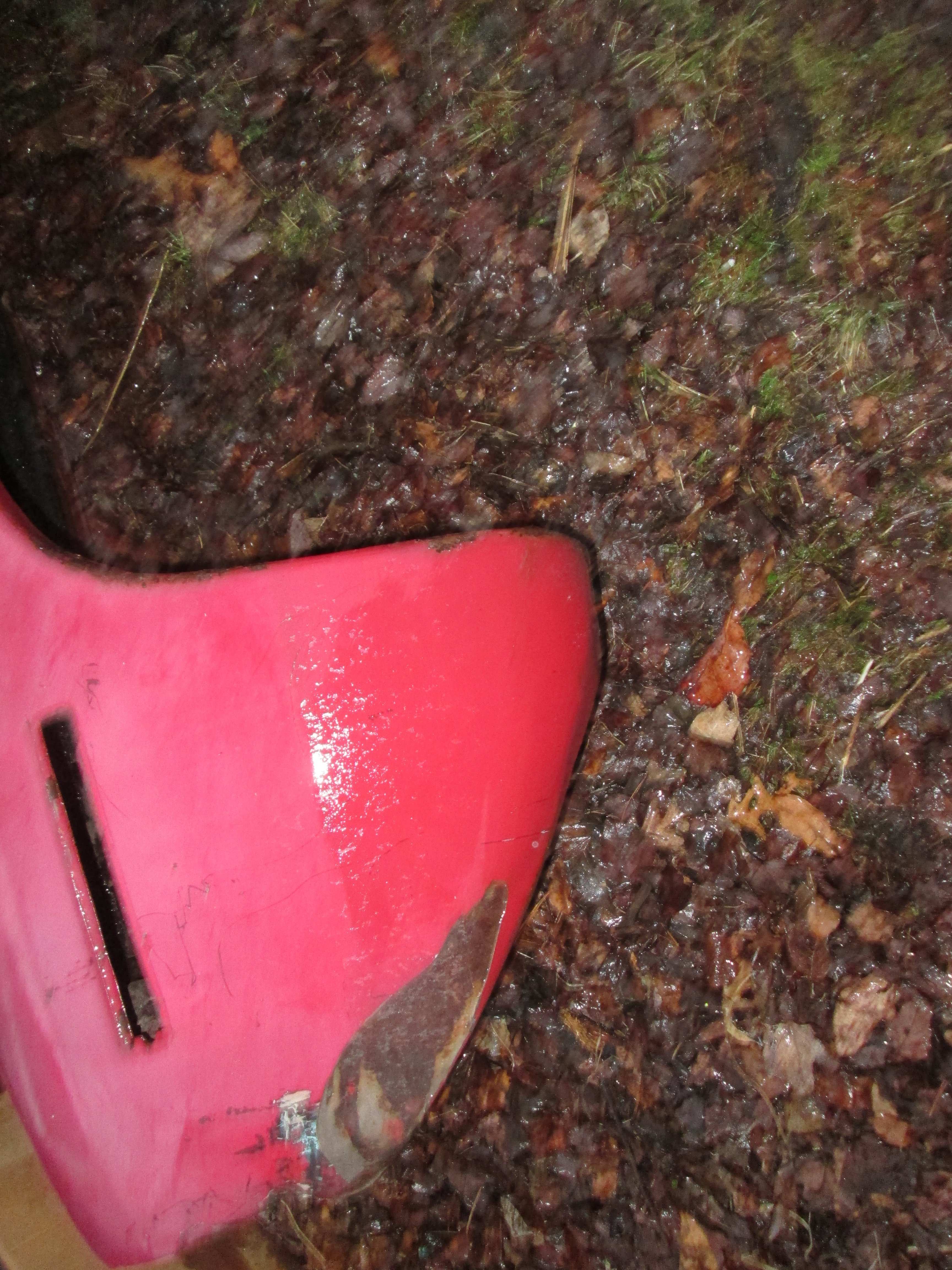 IMG_2881.JPG