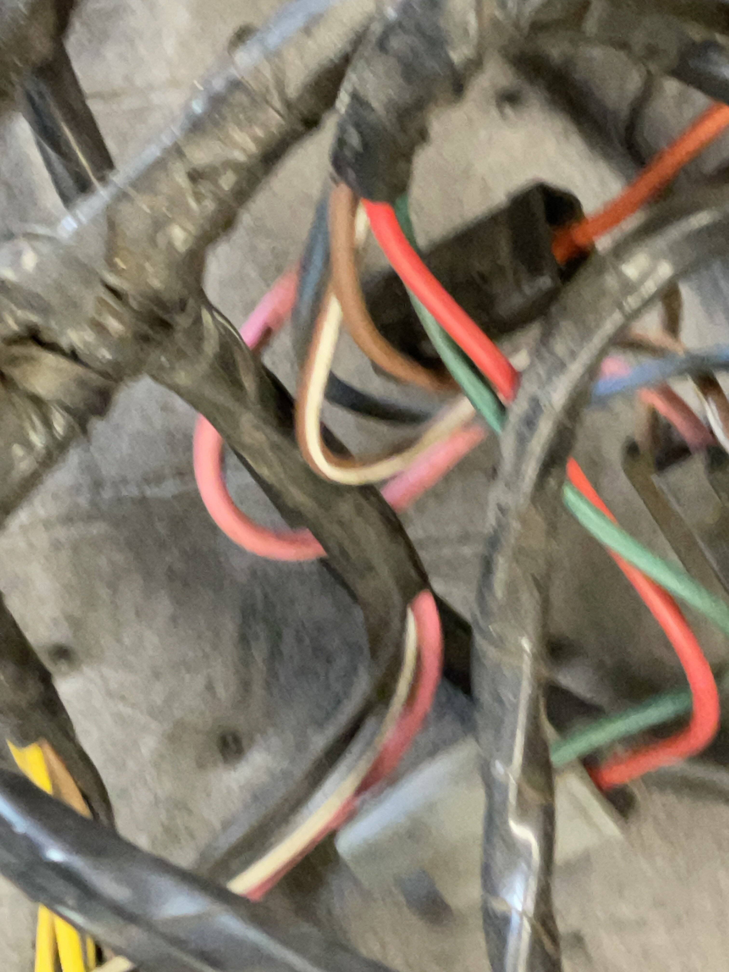 IMG_2959.jpeg