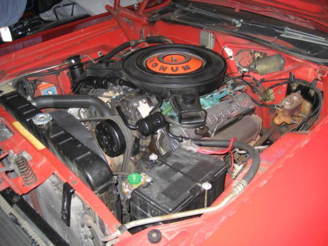 IMG_2978[1].jpg