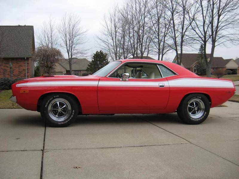 IMG_3030Cuda.jpg