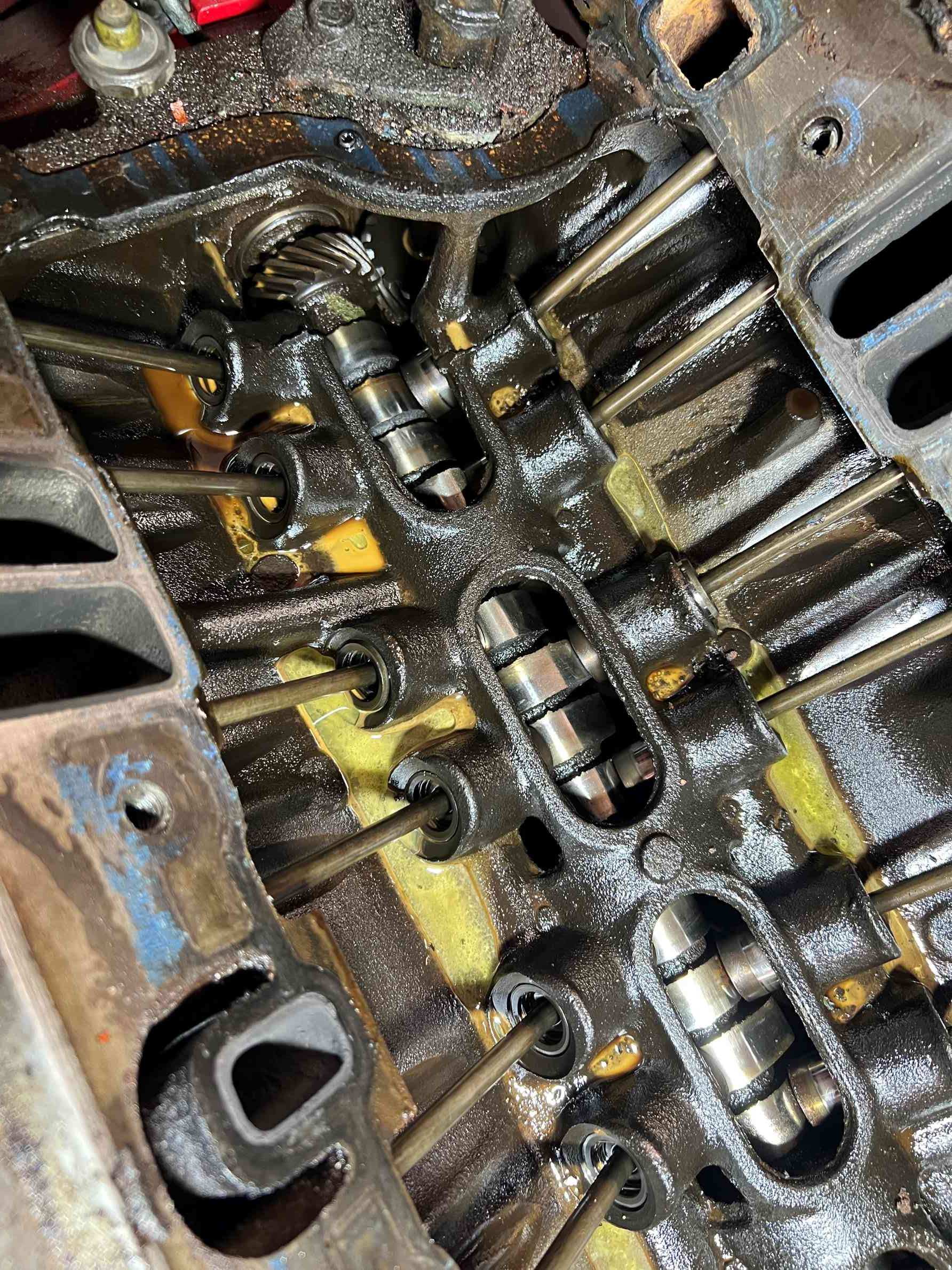 IMG_4254-c - Copy.jpg