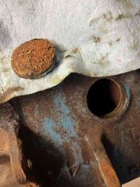 IMG_4537-a - Copyb.jpg