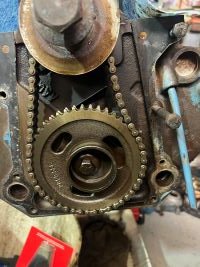 IMG_4540-a - Copy.jpg