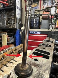 IMG_4557-a - Copy.jpg