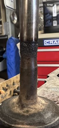 IMG_4559-a - Copy.jpg