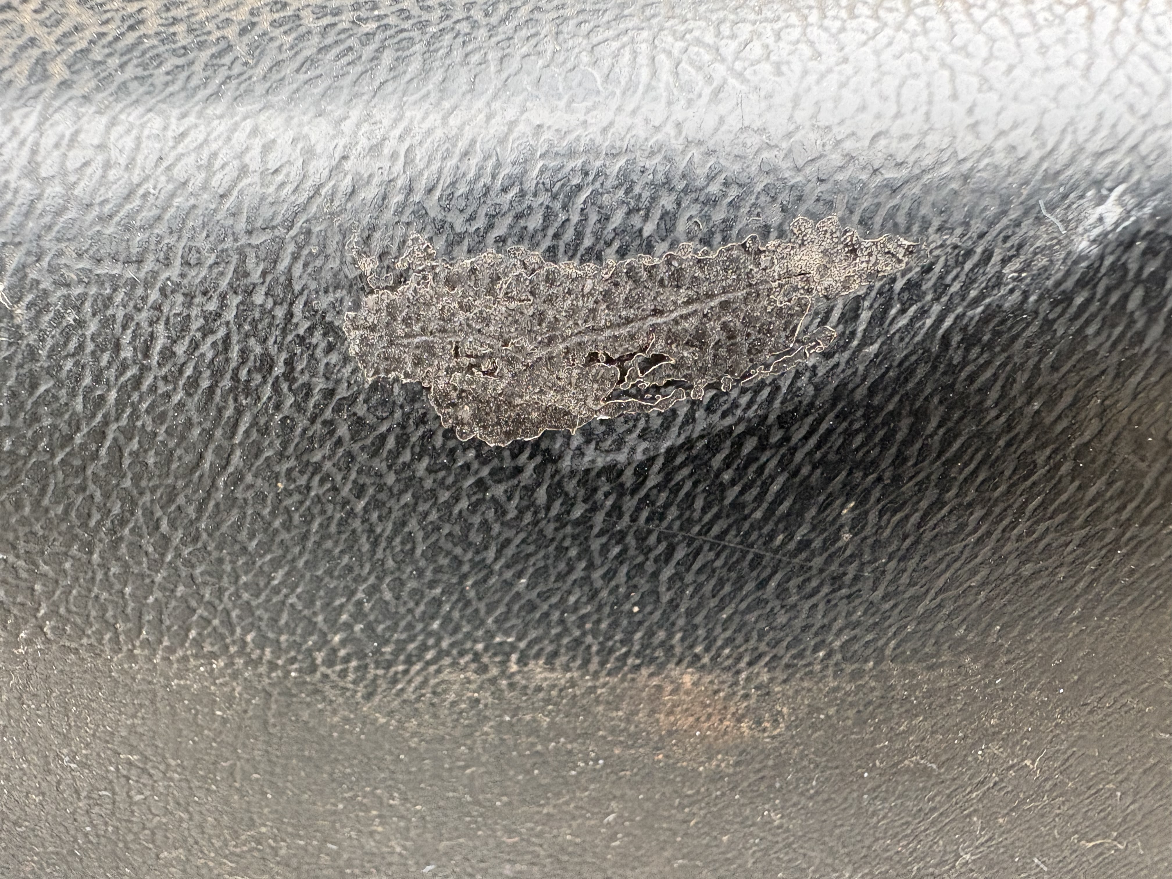 IMG_5018.jpeg