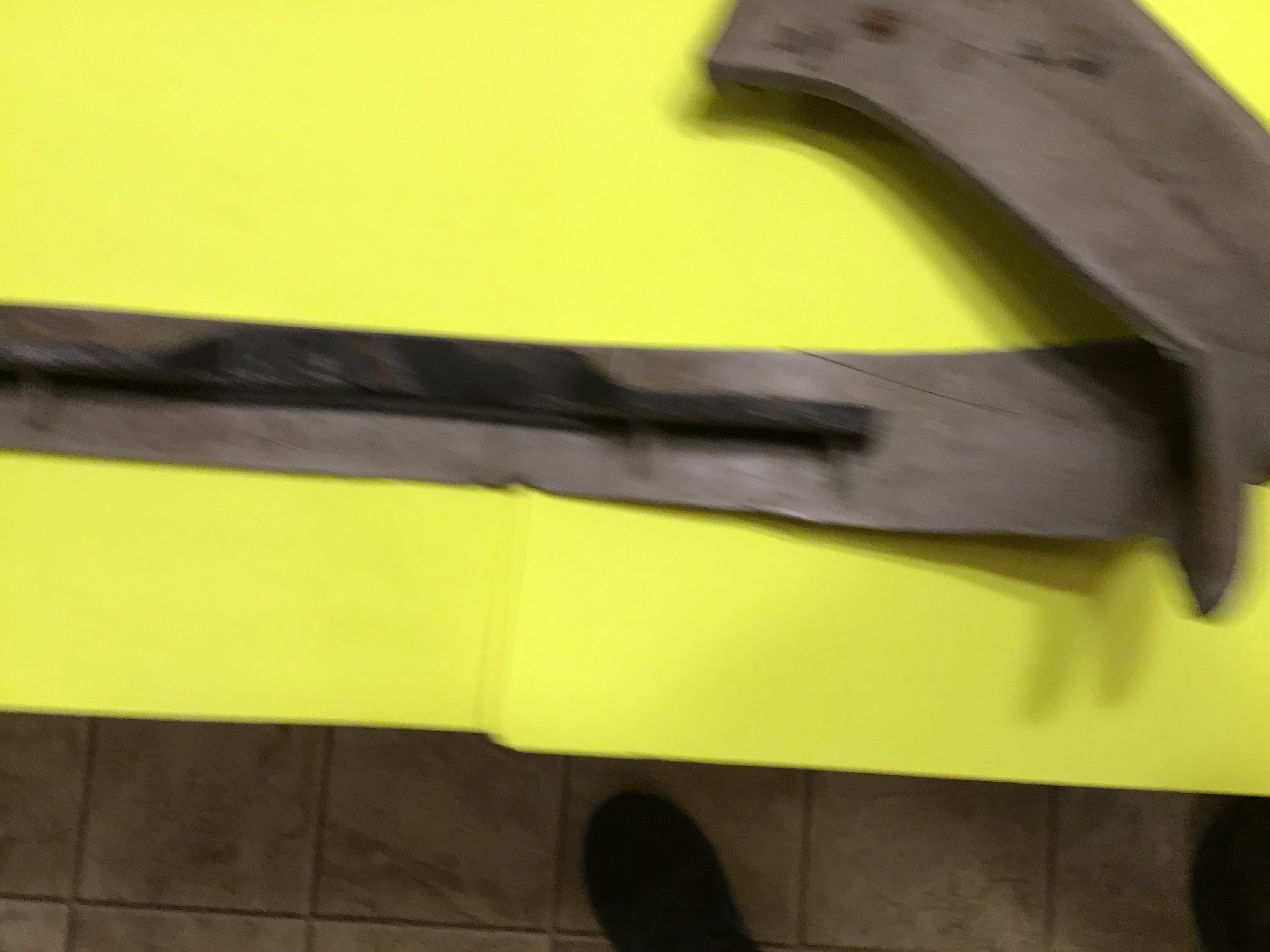 IMG_5098.jpeg