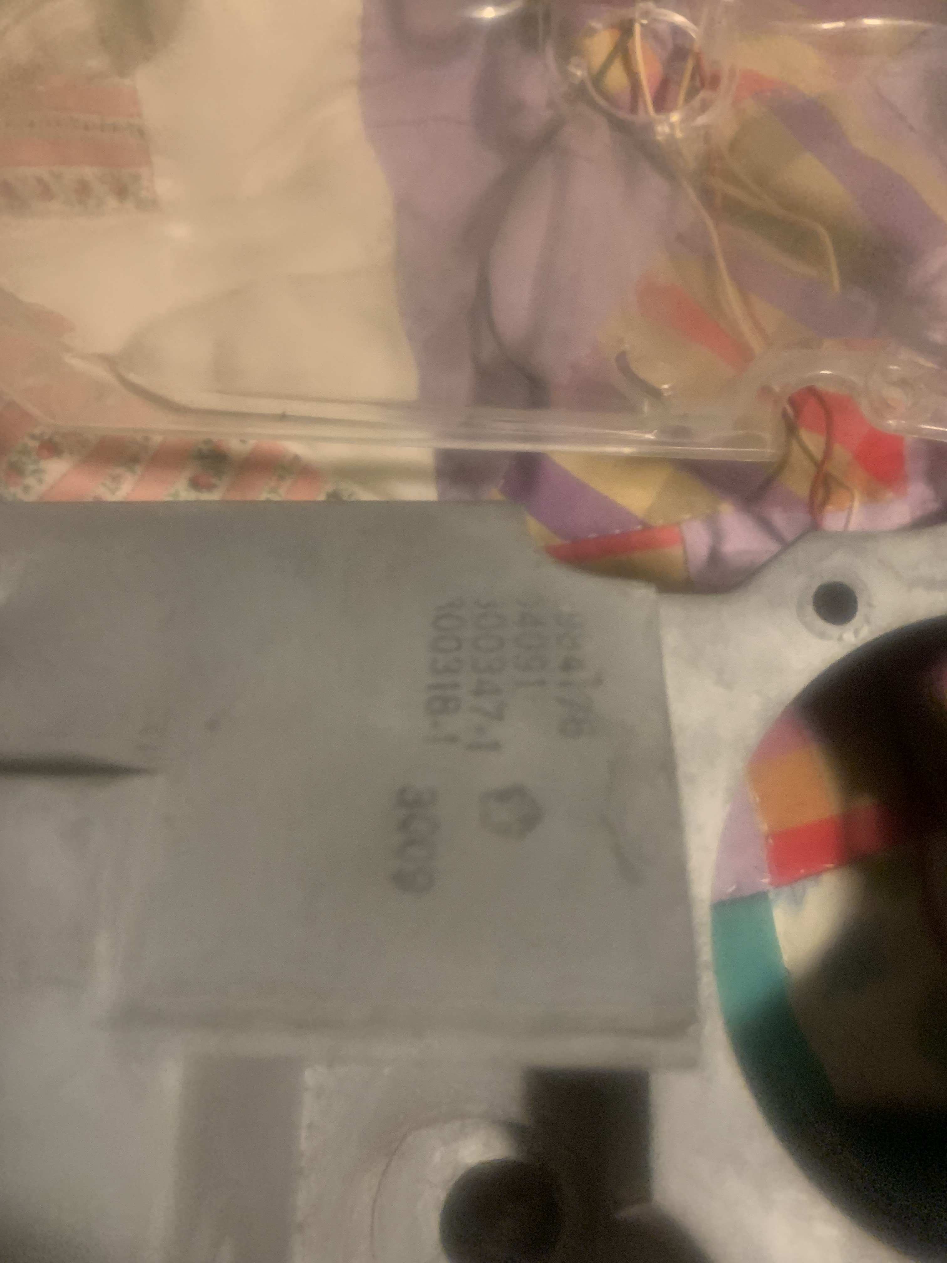 IMG_8081.jpeg