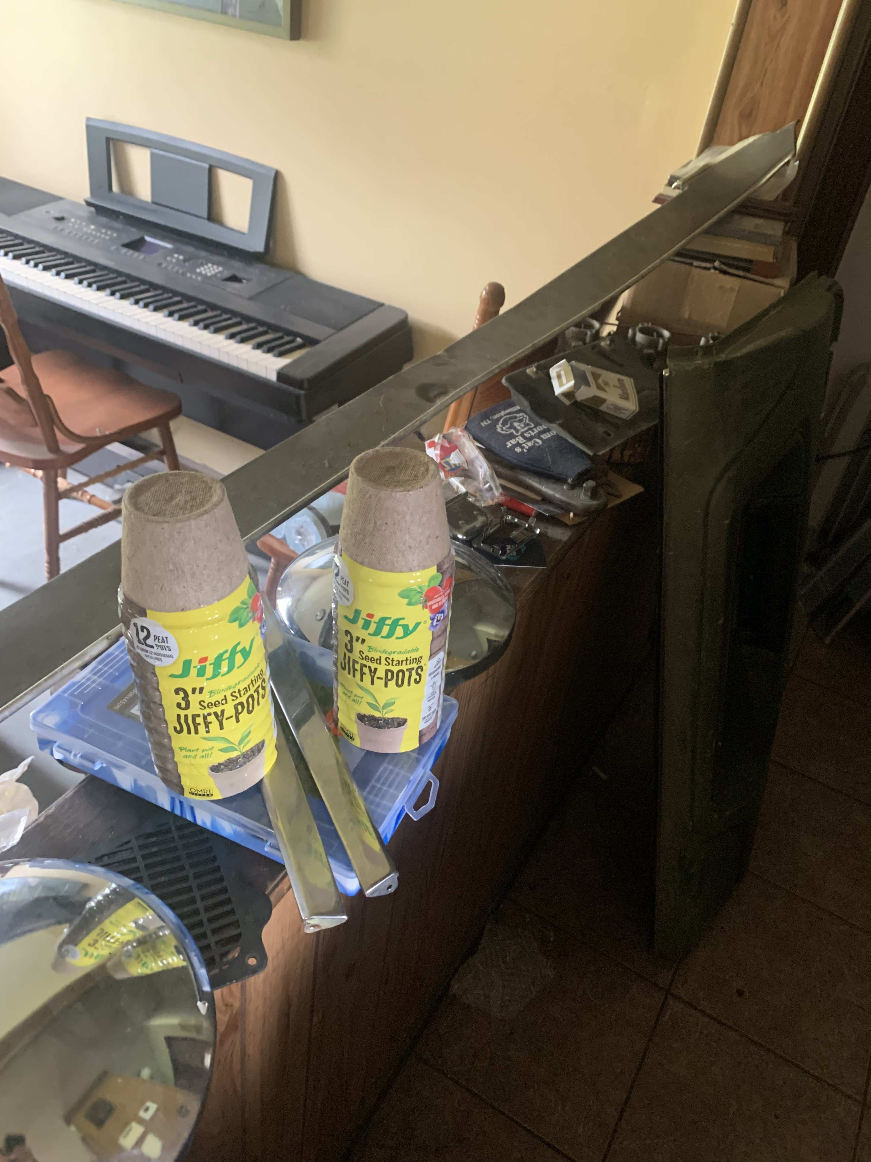 IMG_8304.jpeg