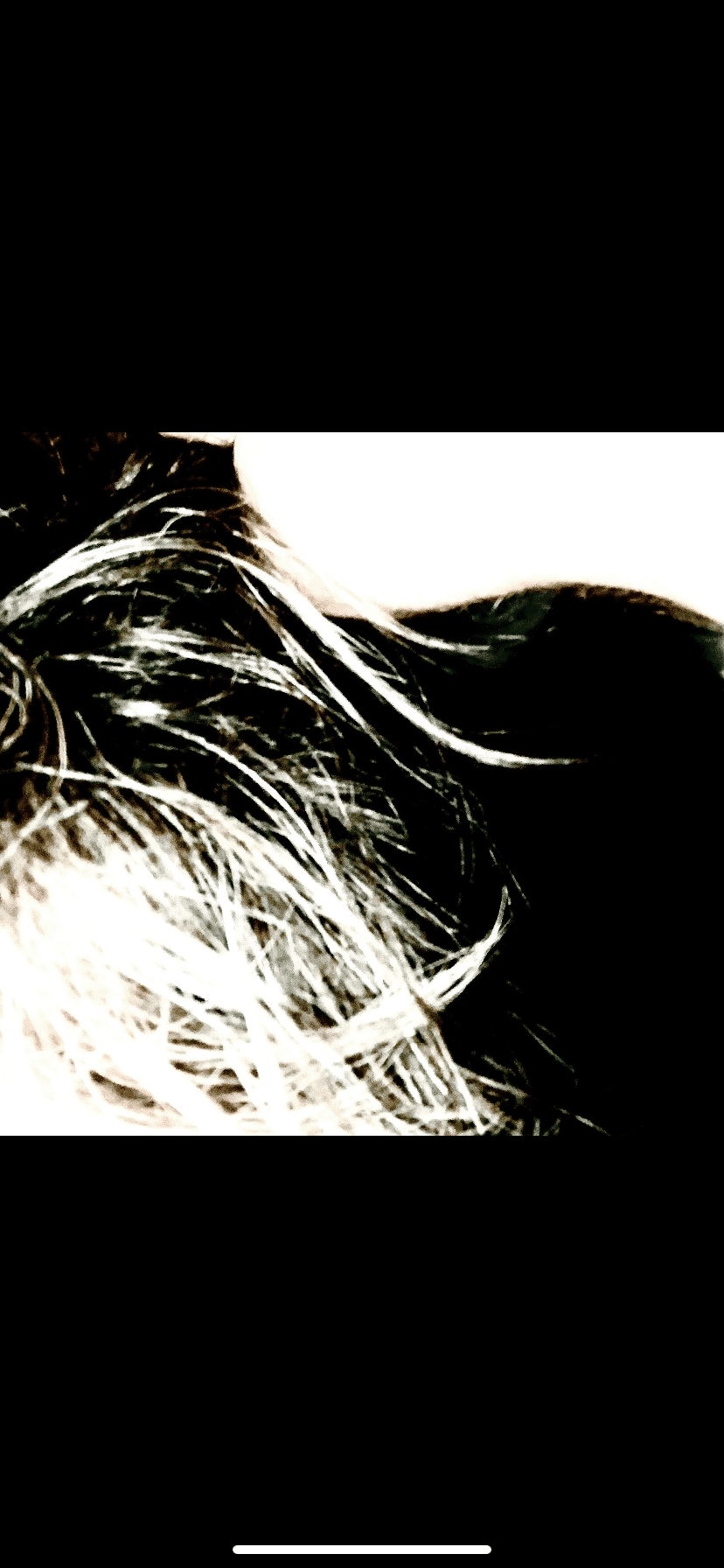 IMG_8306.png