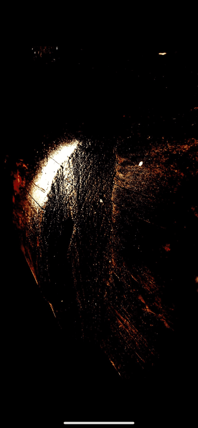 IMG_8312.png