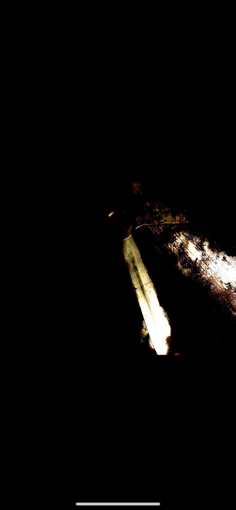 IMG_8313.png