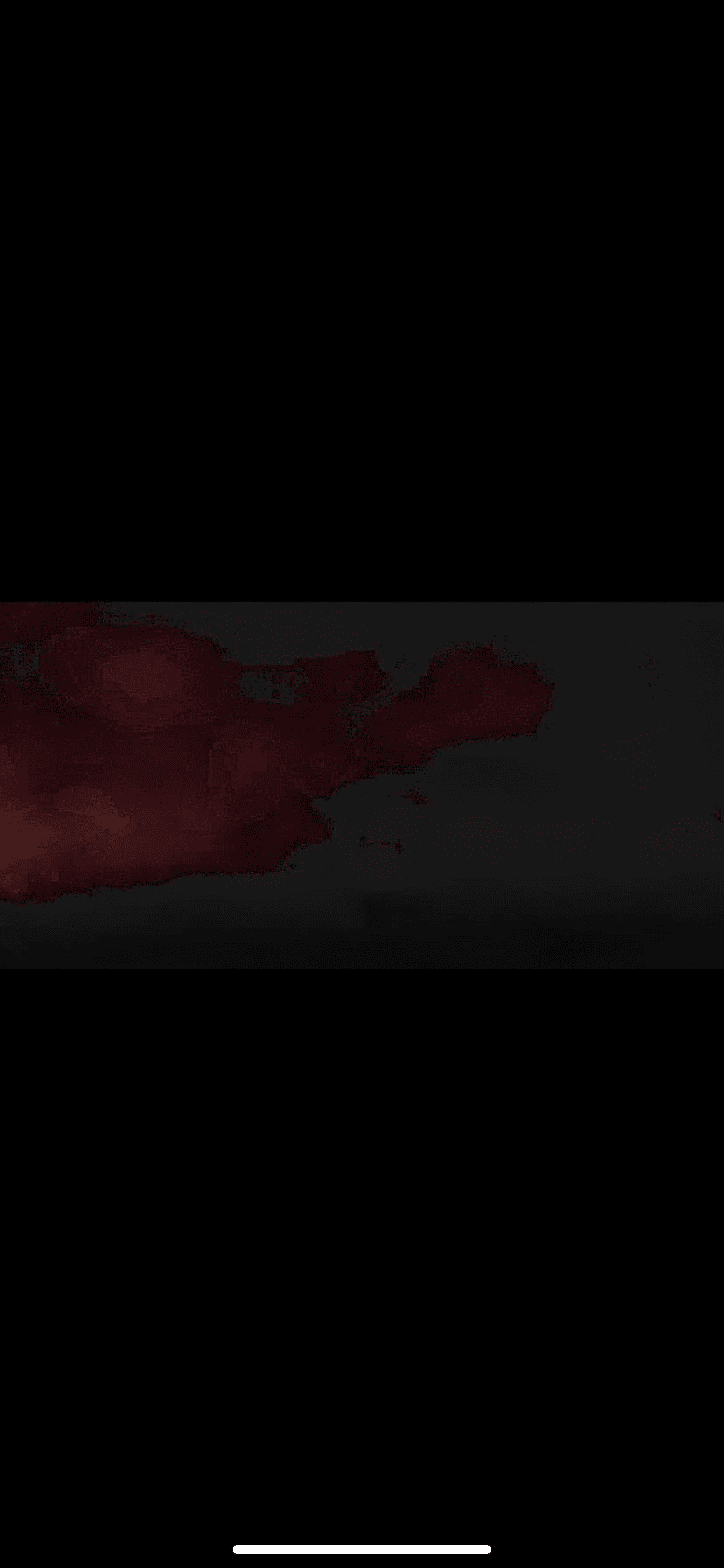 IMG_8317.png