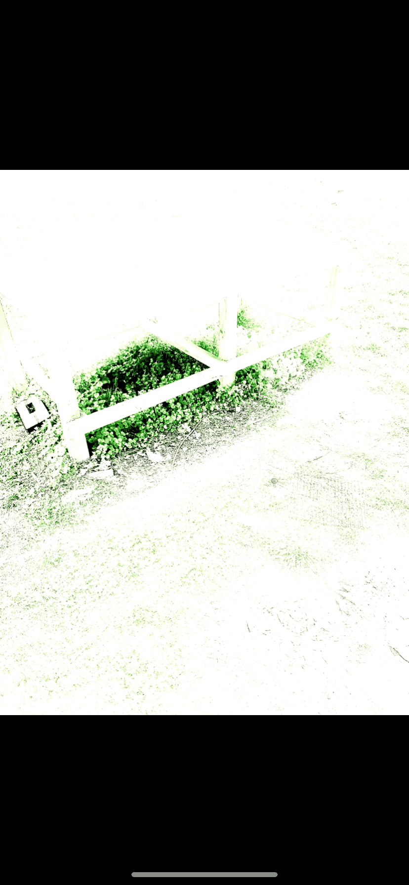 IMG_8348.png