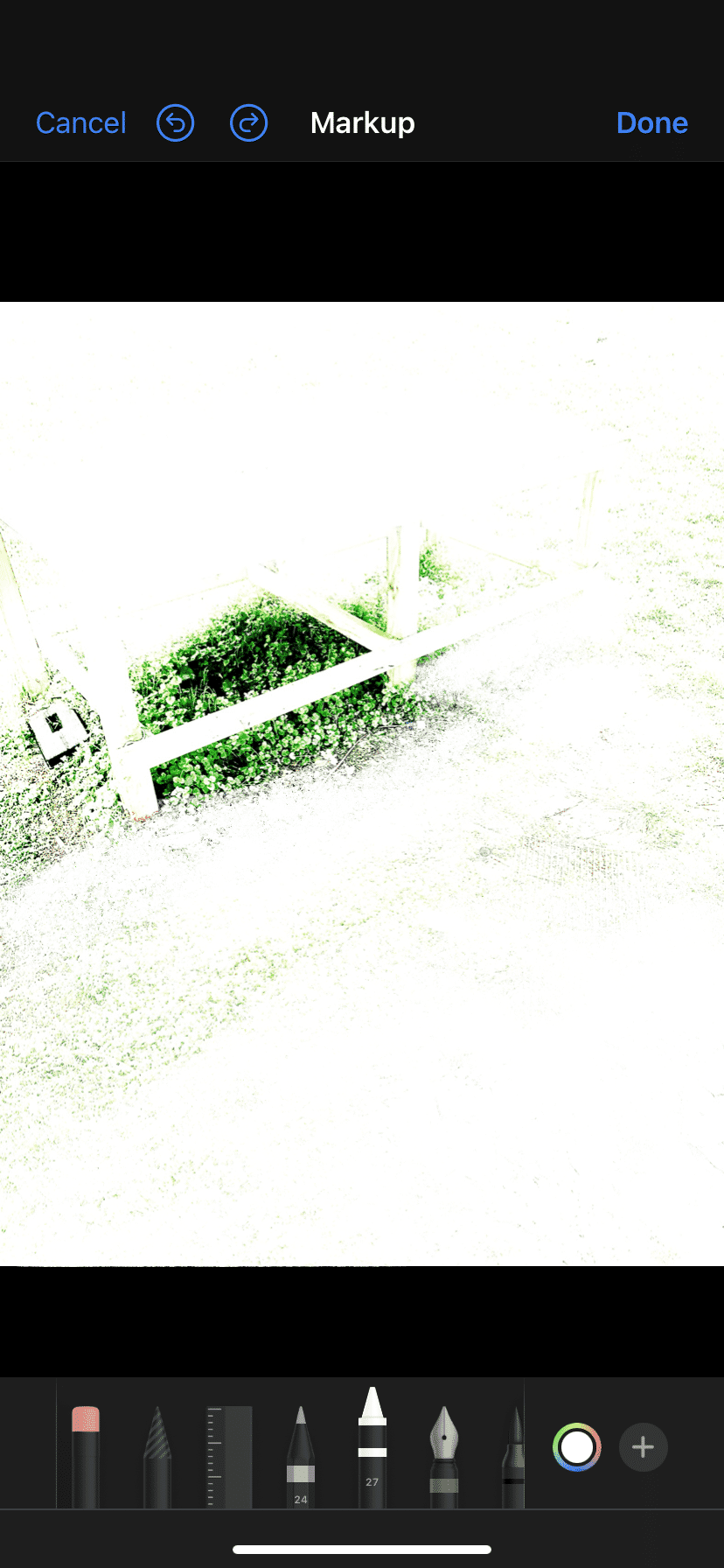 IMG_8349.png