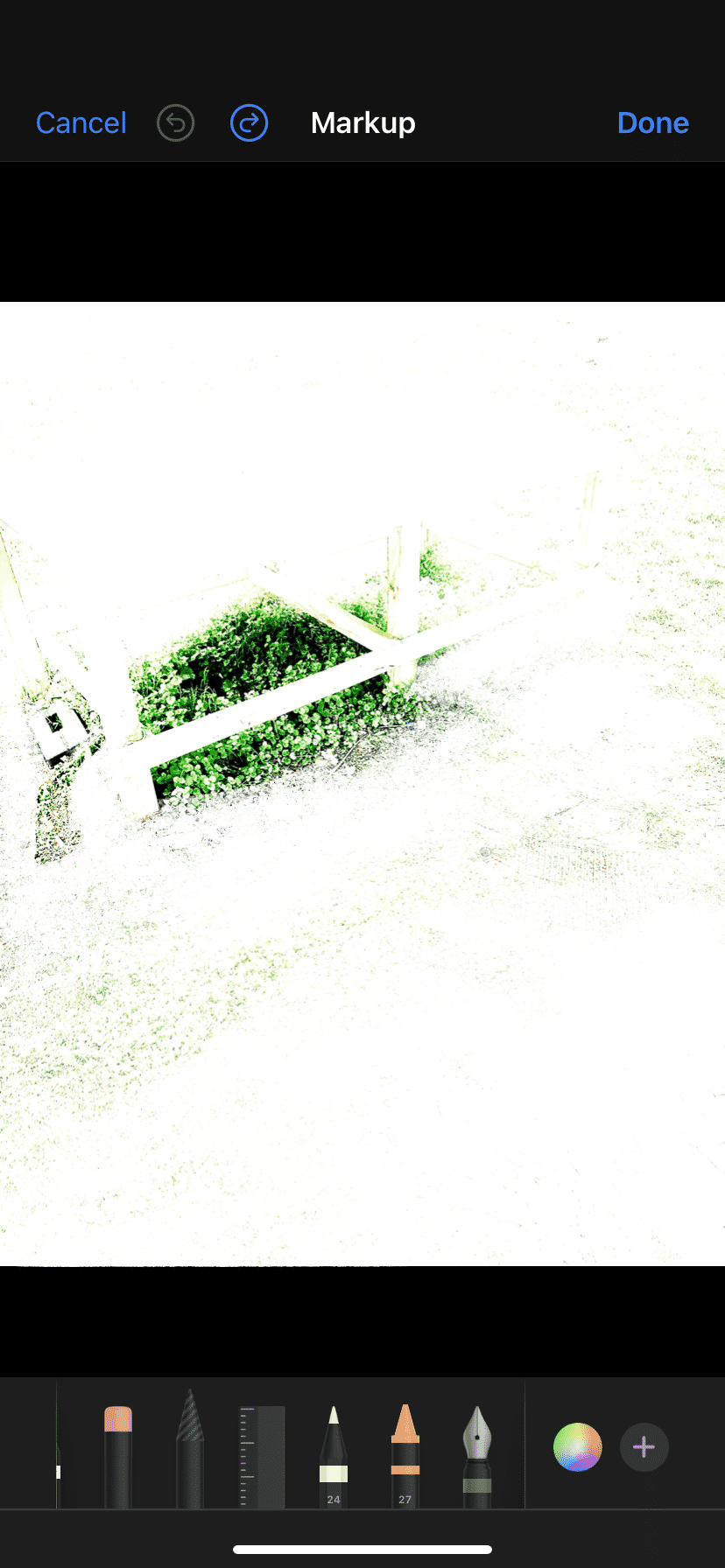IMG_8350.png