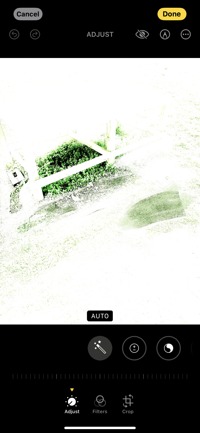IMG_8351.png