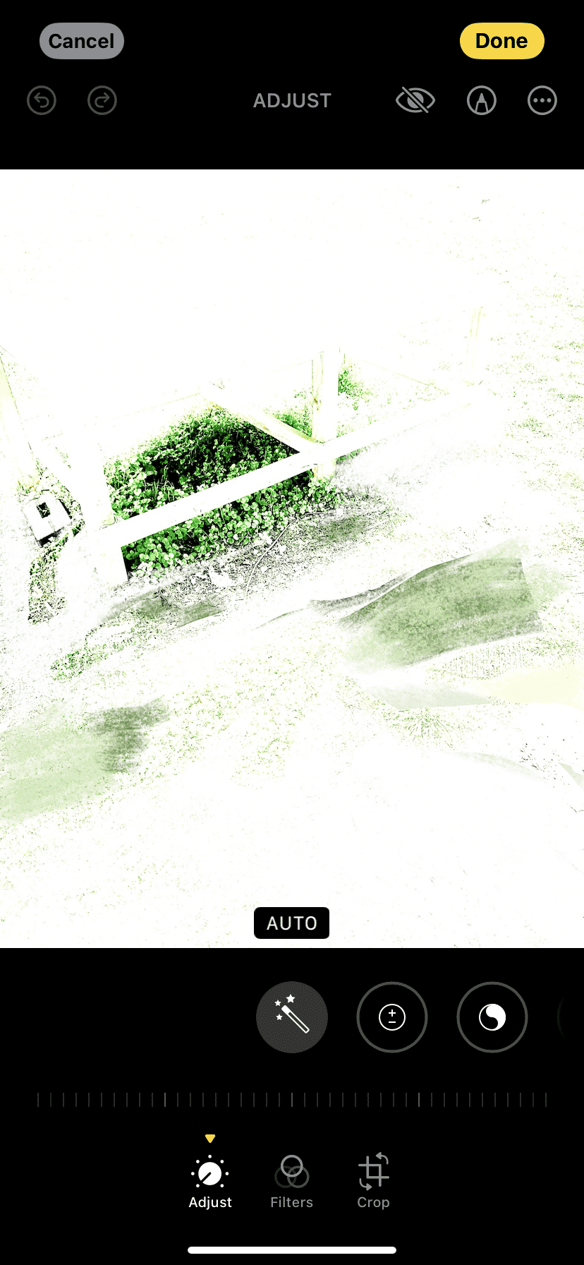 IMG_8352.png