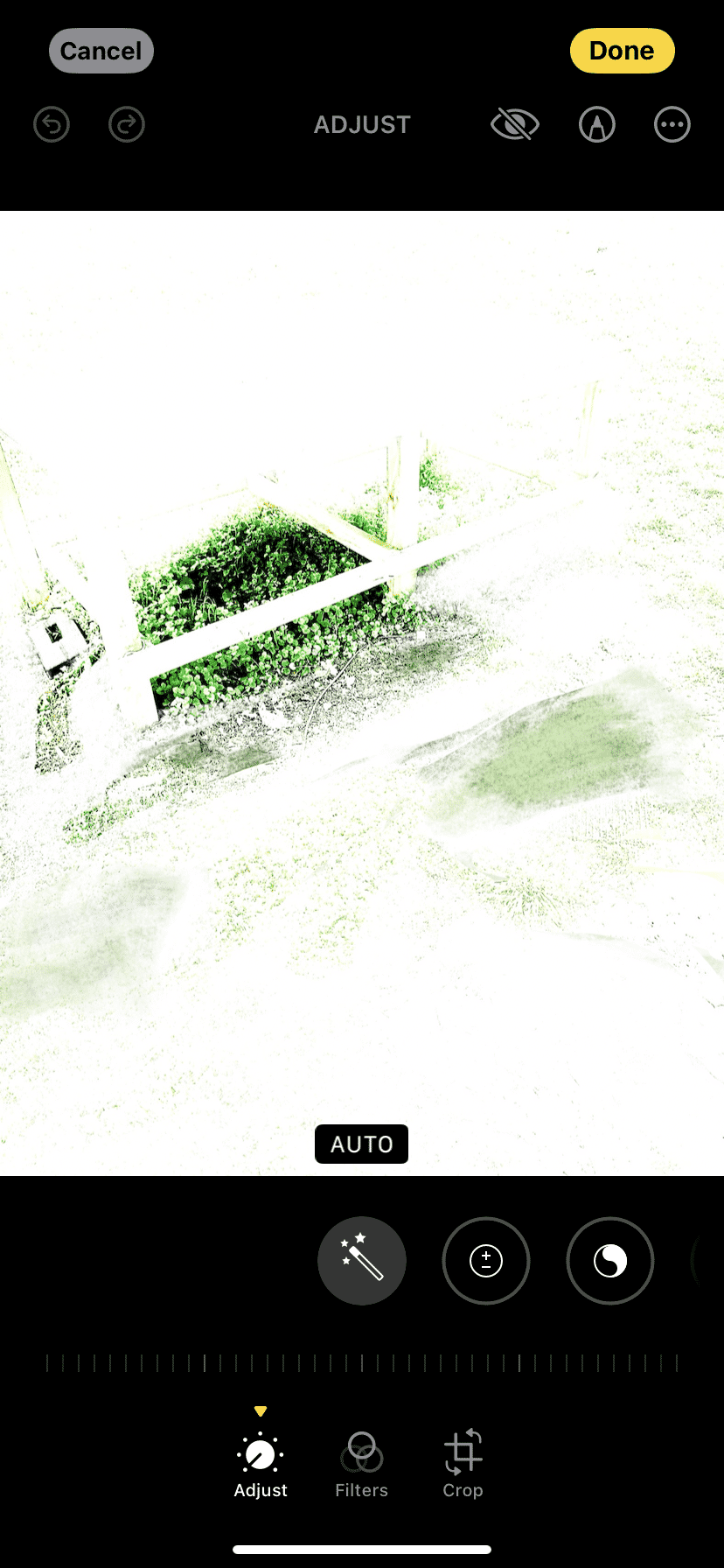 IMG_8354.png