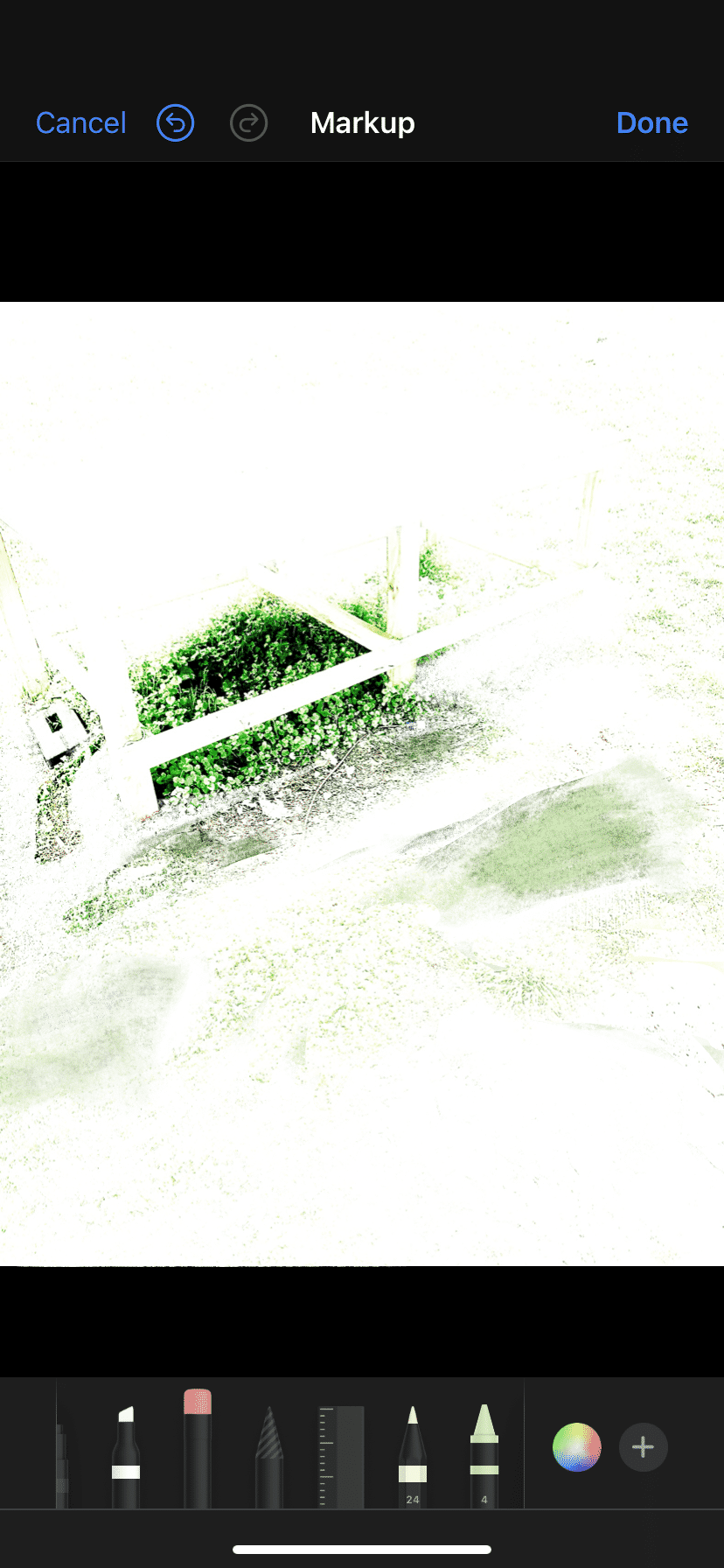 IMG_8355.png