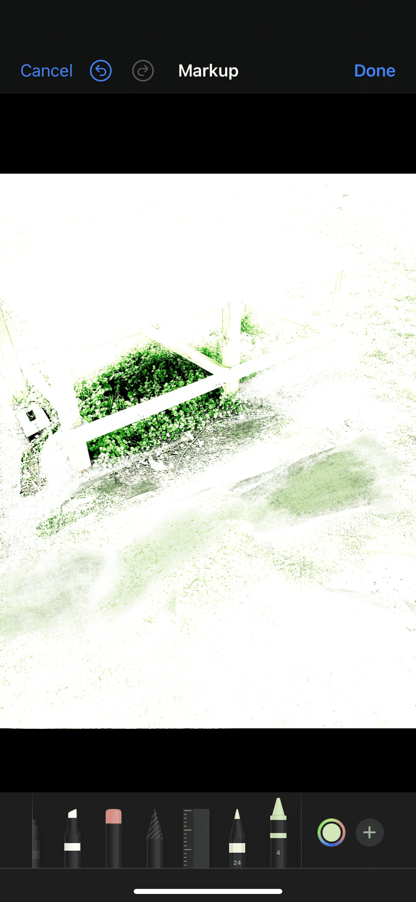 IMG_8356.png