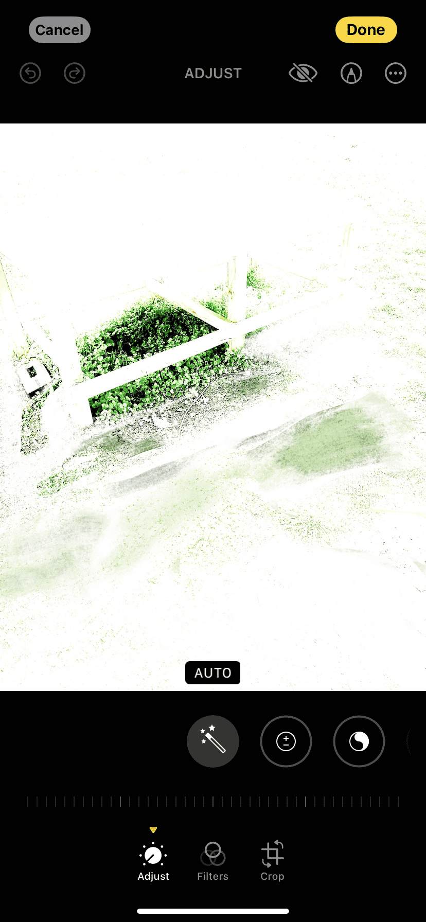 IMG_8357.png