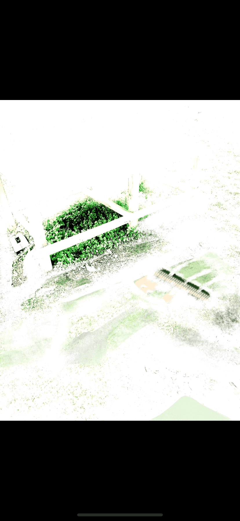 IMG_8362.png