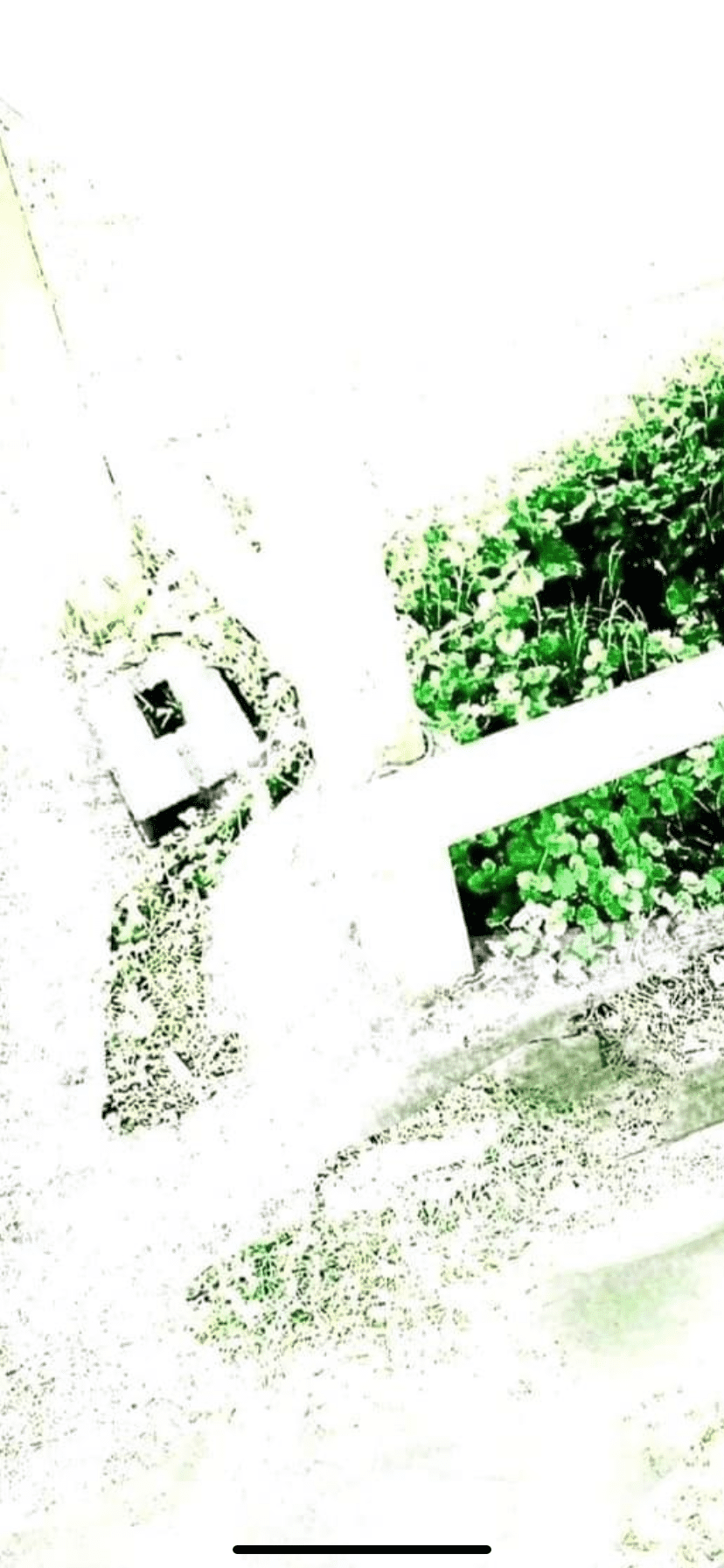IMG_8363.png
