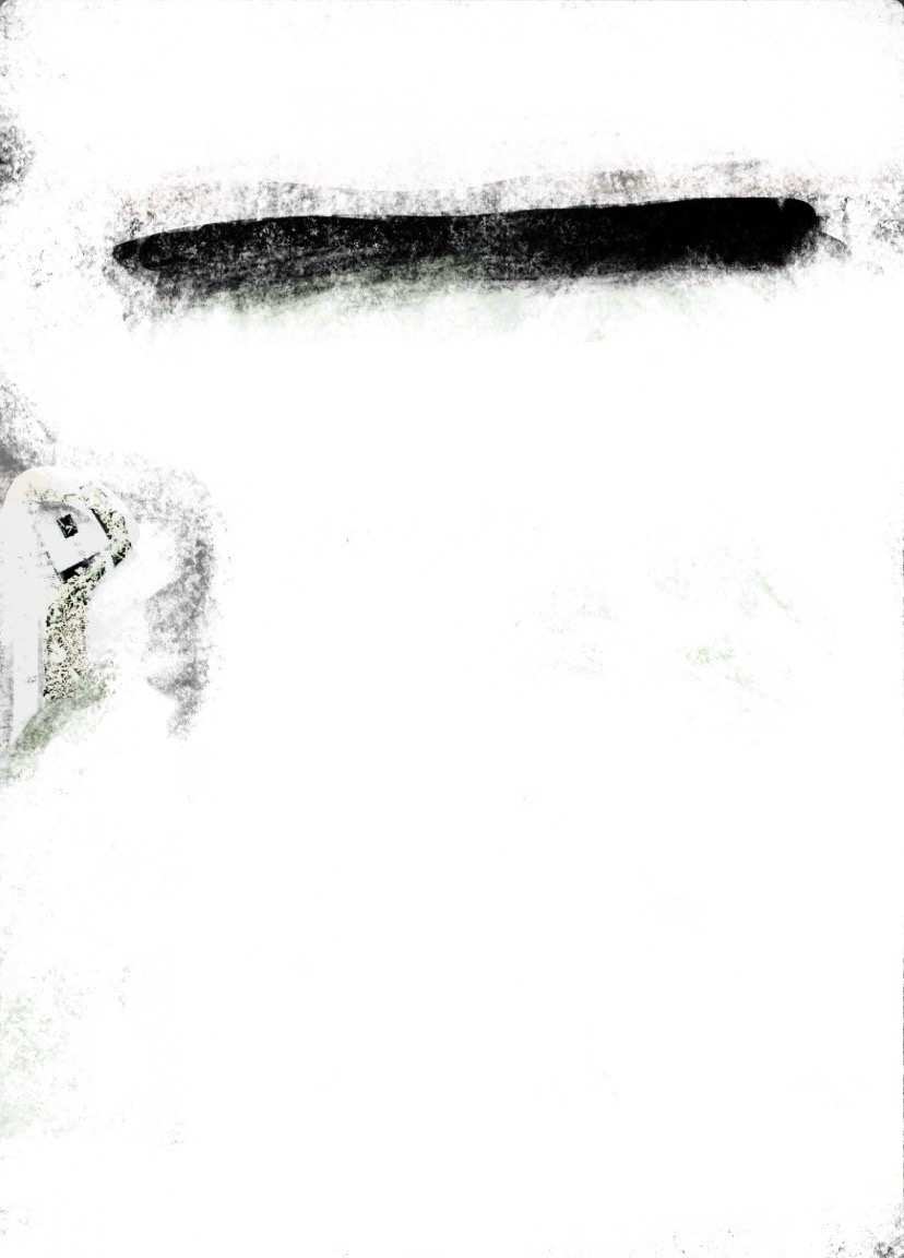 IMG_8377.jpeg